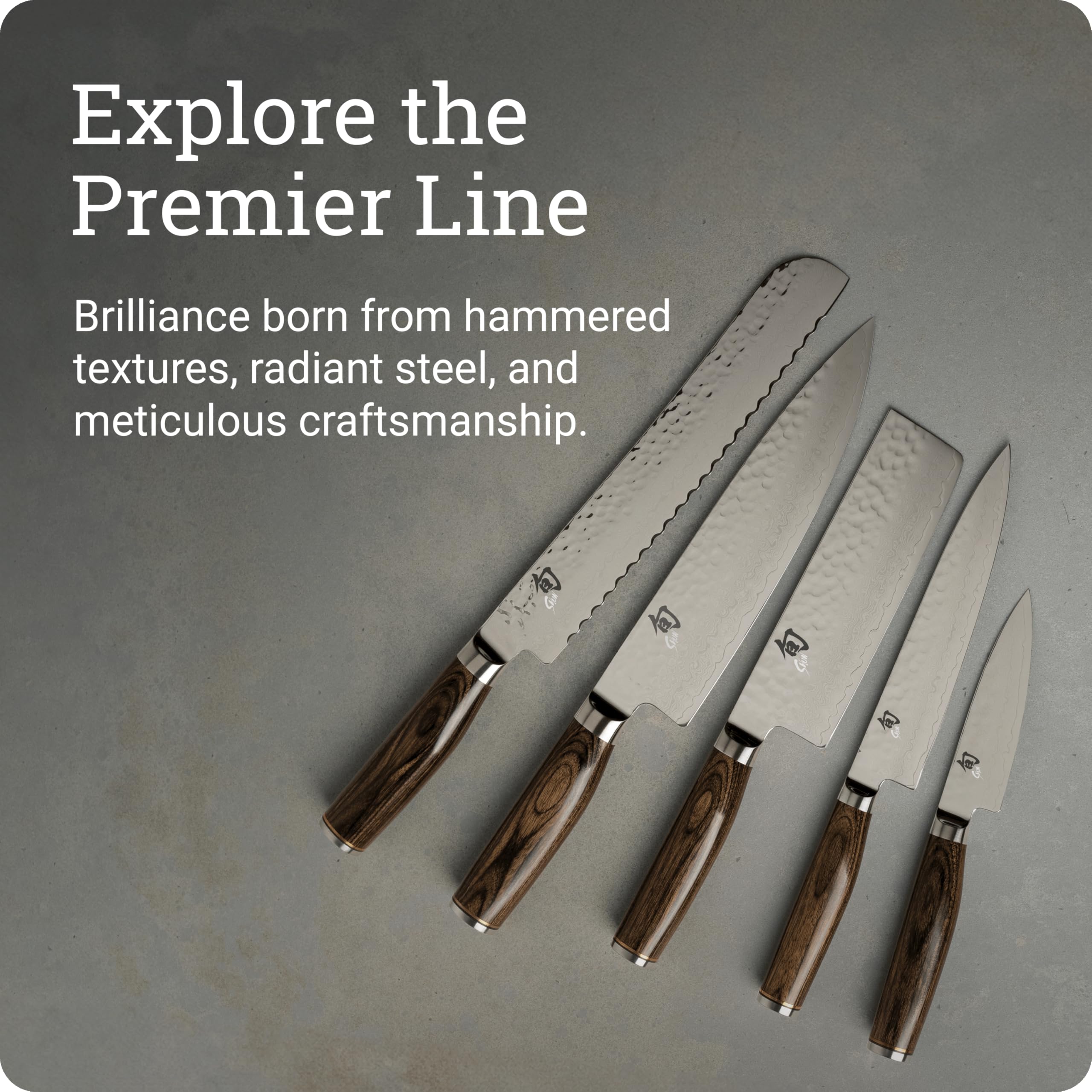 Amazon.com: Shun Premier 10